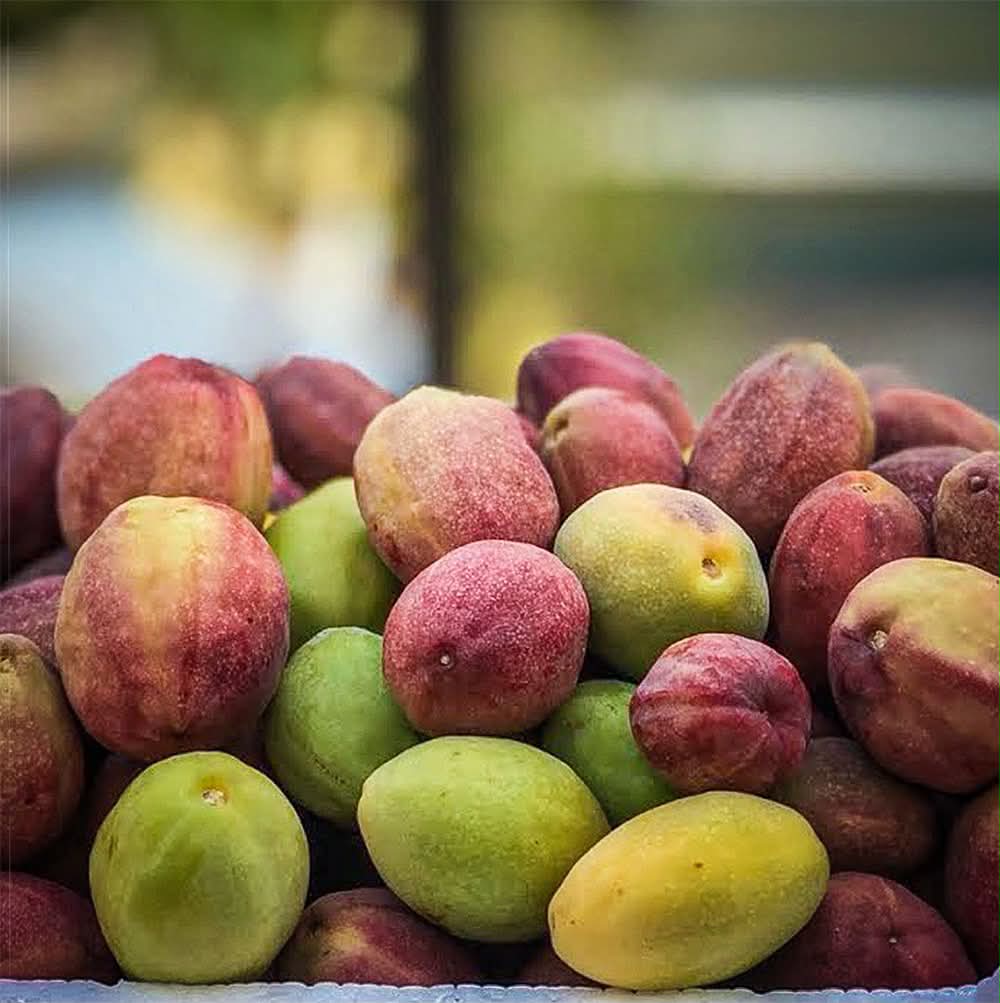 عرض اللوز الحبان الفاخر